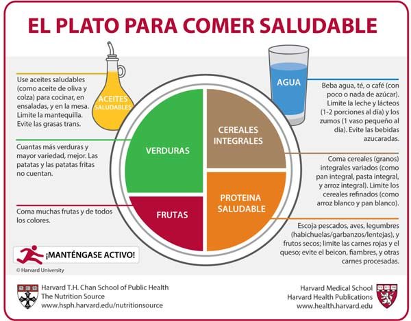 Cuidar nuestra salud con una alimentación sana que incluye al aceite de oliva
